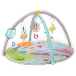 taf toys musical nature baby gym