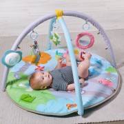 taf toys musical nature baby gym