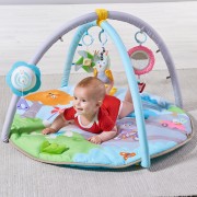 taf toys musical nature baby gym